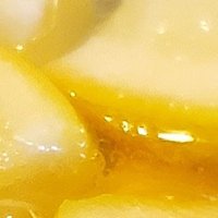 レモネード (@lemoncatd) 's Twitter Profile