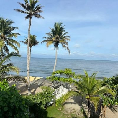 edibun60's profile picture. 