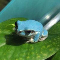 🌸陽ちぃ🌸 (@kya_yoko) Twitter profile photo