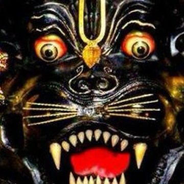 _nagarajananda's profile picture. the most literal demon slayer