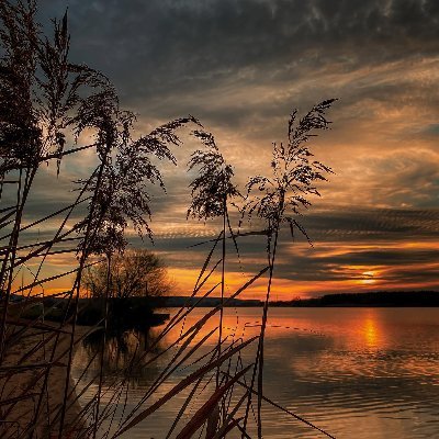 Denbee16's profile picture. 