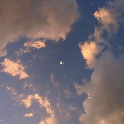 daladam_'s profile picture. 