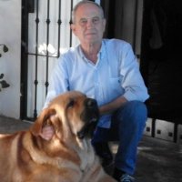 Jose Ponga (@llevancos) 's Twitter Profile