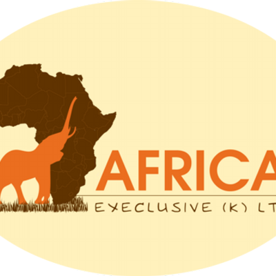 Africa Exclusive (@AfricaExclusiv) / Posts / X