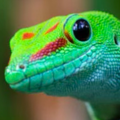 Novelmaru's profile picture. 