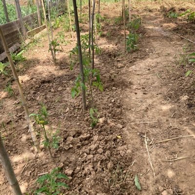 FiffLeslie's profile picture. 