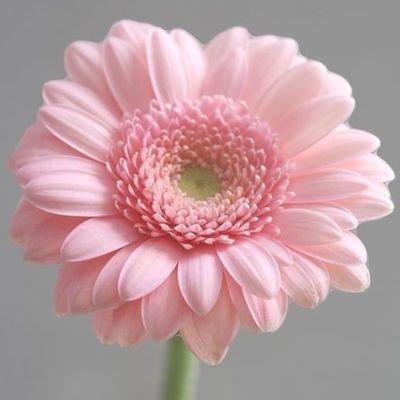 Kirsten47970331's profile picture. 