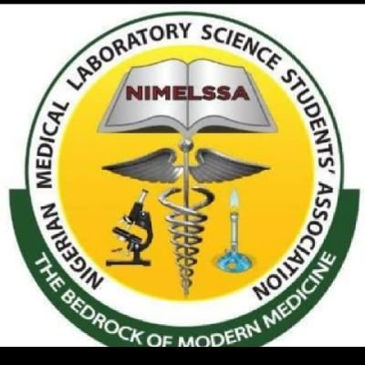 Nimsoutheast's profile picture. The official twitter page for NIMELSSA Southeast region 💥✨