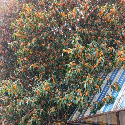 roje_gottya's profile picture. pixiv→ https://t.co/YoDOnPbGUb
3L系統の妄想呟いたり、小説とかをあげる垢。あと、時々ネガティブ。そして最近日常垢っぽい
主にgnsn/hsr/aknk/enst/rnst   etc…
無言フォロー失礼します
rnst垢→@akimasa_gottya