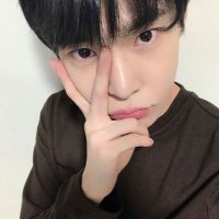 gaby (@dodocollect) 's Twitter Profile