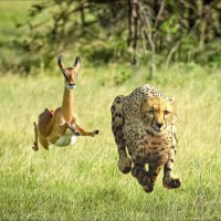 장동철 (@cu29fe26) 's Twitter Profile