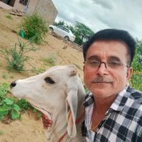 K S chouhan (@kumpsingh851355) 's Twitter Profile