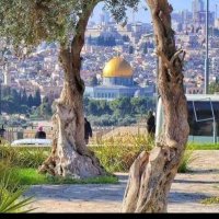 Andleeb Ali (@andlibali6) 's Twitter Profile Photo Andleeb Ali (@andlibali6) 's Twitter Profile Photo