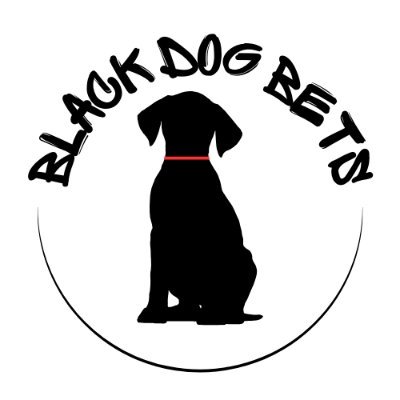 blackdog_bets's profile picture. Just a guy and his dog, handing out free bets. • 2025 Record: 15-20 • Jamie Picks: 5-0. Posting picks every Thurs/Sun/ Mon •Sad NY sports fan