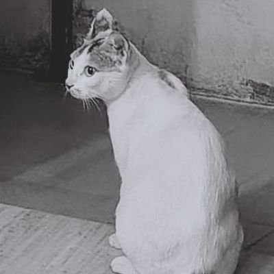 tsn_sri's profile picture. my 
free will 
is
busy thinking 
:⁠-⁠$