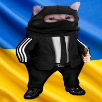 Cartusiafella (@cartusia115145) 's Twitter Profile Photo Cartusiafella (@cartusia115145) 's Twitter Profile Photo