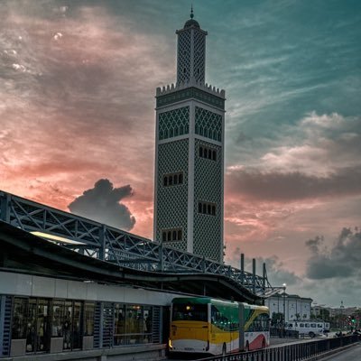 defrew221's profile picture. 🇸🇳