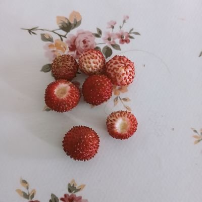 Verdesoliver's profile picture. 