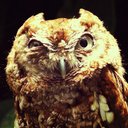 Andrey Martin - @Aeroteran - Twitter