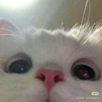 babe_rabbitty (@fanfanrourou1) 's Twitter Profile Photo