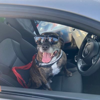 Historian, academic, midlander living on south coast, wannabe Mod, ❤️ staffies, #pusb, ska/reggae/2-tone ⚪️⚫️