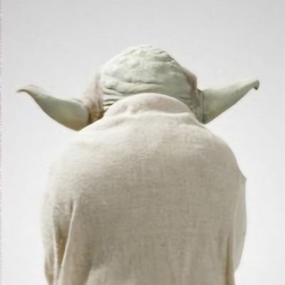 dandzolino's profile picture. 