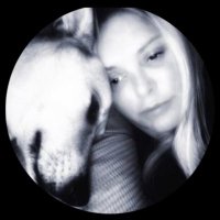 Sill (@sill311) 's Twitter Profile