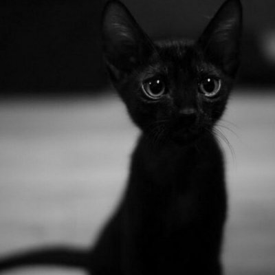 bj777221226's profile picture. 