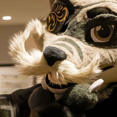 🔞27 🇨🇺| He/Him Himbo Fox married to a funny Lil bug @gnaughtii | Flirty with friends :)
Murrsuiting Knight of Heat and Heart.
Dms Open for Rhea Ripley