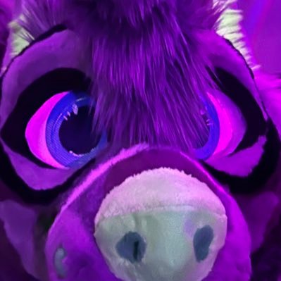 knottywlf's profile picture. AD✨ - 21 - 💕Bottom💕 Indefinitely caged by @crowbarfolfad 🧡 Service wolf~ 🐺💚🔜Furnal Equinox✨