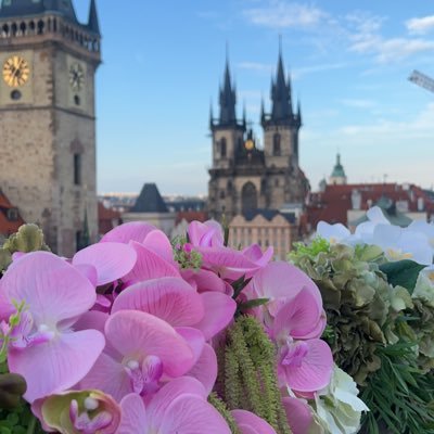 dalru7's profile picture. ﴿ رَبِّ اغْفِرْ لِي وَلِوَالِدَيَّ ﴾ 🤍