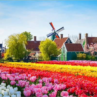 Uringuyen585's profile picture. 