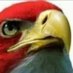 افراح السعد (@afrah_d34840) Twitter profile photo افراح السعد (@afrah_d34840) Twitter profile photo