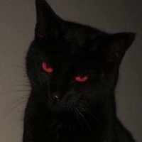 ☽ (@nymphobynight) 's Twitter Profile
