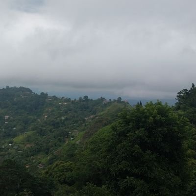 Gerardo32411836's profile picture. venezolano y caraqueño.