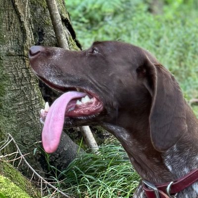 Emmam202212's profile picture. #TeamWales my new account! 👑 🥰 Woman/she/her