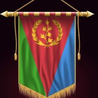 WEDI EREY( ሰነድ ይኩነለይ ) (@wedierey14) 's Twitter Profile Photo