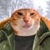 mora (@moragearsolid) Twitter profile photo mora (@moragearsolid) Twitter profile photo