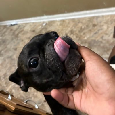 AlijahNash60774's profile picture. 