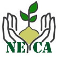 NECA (@shiny_africa) 's Twitter Profile Photo NECA (@shiny_africa) 's Twitter Profile Photo