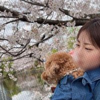 えみみん (@emimin439594) Twitter profile photo