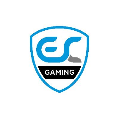 ESC Gaming Profile