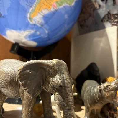 maruku4maru's profile picture. チームで働く社労士。各システム使って仕組みと運用を考える。仕事のことはほぼポストしません。大原社労士24卒。