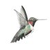Hummingbird Charitable Foundation (@hummingbirdindy) Twitter profile photo Hummingbird Charitable Foundation (@hummingbirdindy) Twitter profile photo
