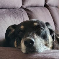 Janet (from another planet) (@janetca03023777) 's Twitter Profile