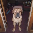 Peter DeLeon - @Peterdelion4411 - Twitter