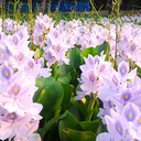 Noby Joseph - @Noby_Joseph - Twitter