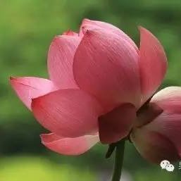 xyyd2024's profile picture. Web3 tracker，fund R&D