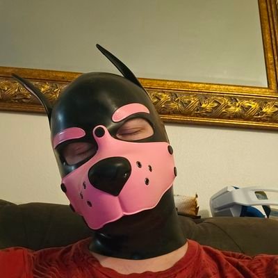 Am dog x3
love rubber and tight things.
18+
31
chats open to anyone