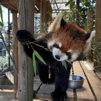 つきよみ (@tsukiyomi0807) Twitter profile photo